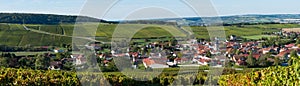 Champagne vineyards in the Cote des Bar Aube