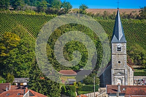 Champagne vineyards in the Cote des Bar Aube