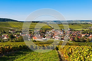 Champagne vineyards in the Cote des Bar Aube