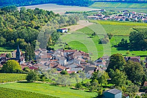 Champagne vineyards in the Cote des Bar Aube