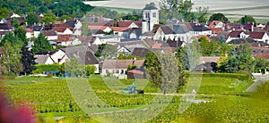 Champagne vineyards in the Cote des Bar, Aube