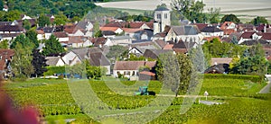 Champagne vineyards in the Cote des Bar, Aube