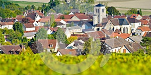 Champagne vineyards in the Cote des Bar, Aube