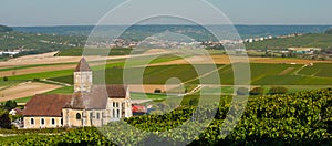 Champagne vineyards Cuis in Marne department, France