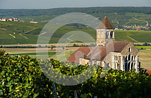 Champagne vineyards Cuis in Marne department, France