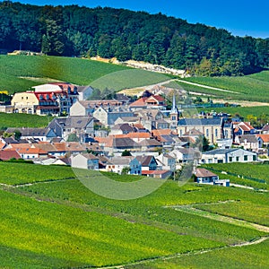 Champagne vineyards Mancy in Marne department, France