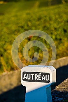 Champagne vineyards in Marne department, France