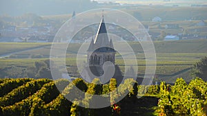 Champagne vineyards in the Montagne de Reims area of the Marne department near to Ville-Dommange,