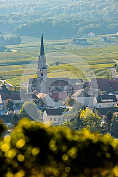 Champagne vineyards Sermiers in Marne department, France