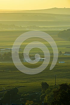 Champagne vineyards Villedomange in Marne department, France