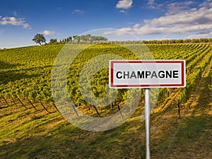 Champagne wine region of France