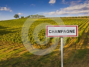 Champagne wine region of France photo