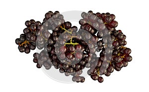 Champange grapes