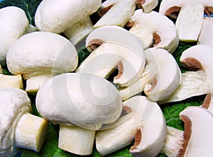 Champignon