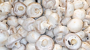 Champignon background in top view of mushroom in market for sale