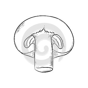 Champignon hatching mushroom icon. Natural foods, keto diet, mushroom packaging