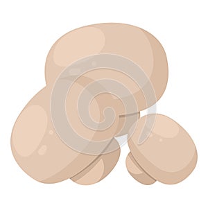 Champignon icon isometric vector. White uncooked edible mushroom icon