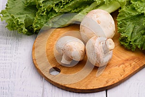 Champignon with leaf lettuce