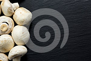 Champignon mushroom on a black background on the left and a place for text on the right
