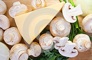 champignon mushroom with cheese