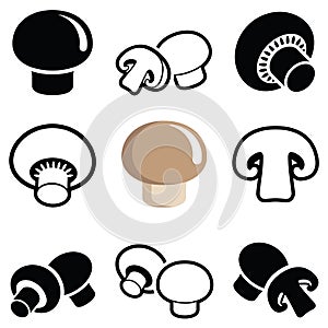 Champignon and mushroom vector icon illustration