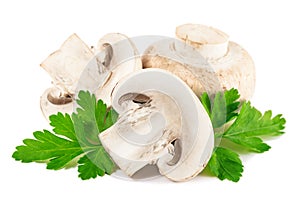 Champignon mushroom with parsley