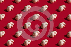 Champignon mushroom pattern on a red background, flat lay. Top view