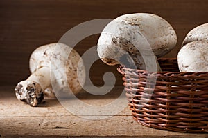 Champignon Mushrooms