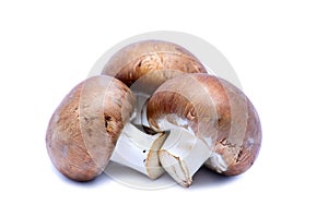 Champignon mushrooms