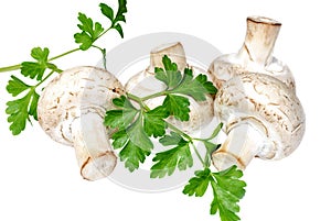 Champignon mushrooms with branch of fresh parsley