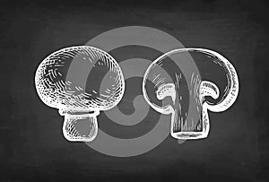 Champignon mushrooms chalk sketch.