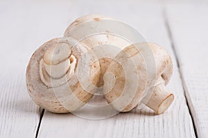 Champignon mushrooms closeup on white background