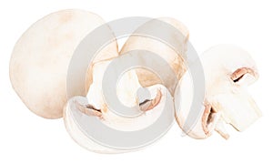 Champignon mushrooms isolated on white background, with clipping path