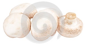 Champignon mushrooms isolated on white background, with clipping path