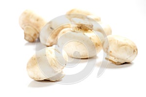 Champignon paris mushrooms over white background