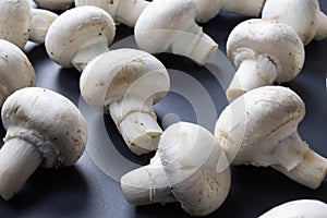 Champignons on a black background