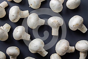 Champignons on a black background