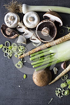 Champignons, leek, parsnip, garlic and fennel on grey background. Top view photo of fresh seasonal vegetables. Healthy menu ideas.