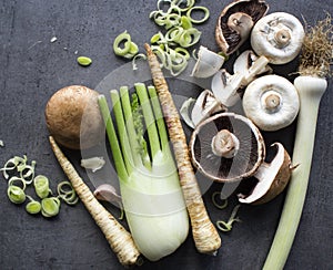 Champignons, leek, parsnip, garlic and fennel on grey background. Top view photo of fresh seasonal vegetables. Healthy menu ideas.