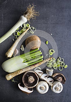 Champignons, leek, parsnip, garlic and fennel on grey background. Top view photo of fresh seasonal vegetables. Healthy menu ideas.