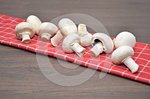 Champignons mushrooms