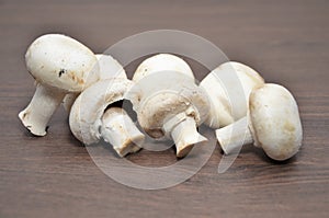 Champignons mushrooms