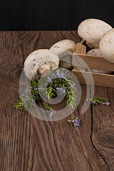 Champignons in a wooden box