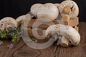 Champignons in a wooden box