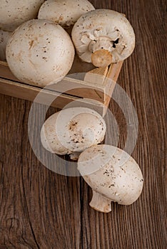 Champignons in a wooden box