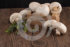 Champignons in a wooden box