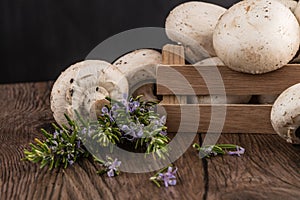 Champignons in a wooden box