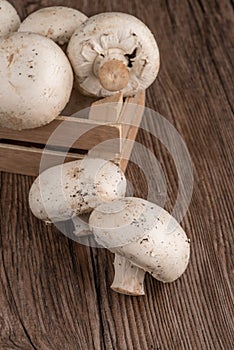 Champignons in a wooden box