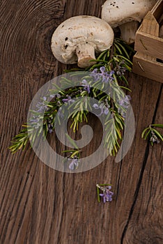 Champignons in a wooden box