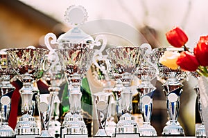 Champion Trophies. Winners Cups. Trophy